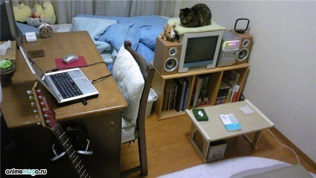 Малогабаритная квартира в Японии (23 фото)