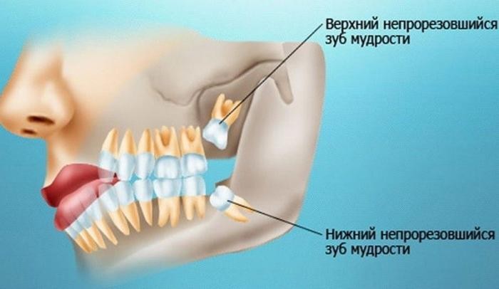 Эволюционные изменения, которые оставили загадочный след (10 фото)