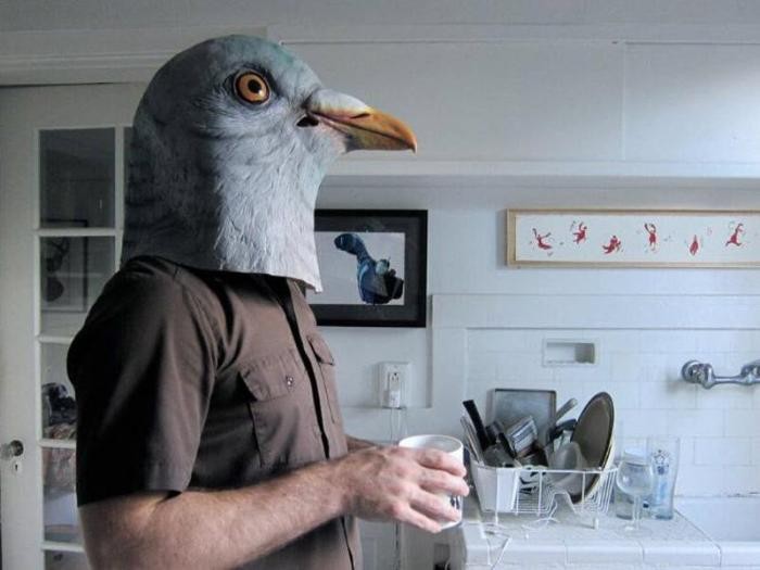 Чудаки, которым по приколу жить в маске голубя (21 фото)