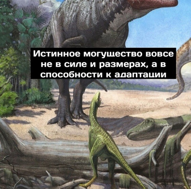 Минутка размышлений о приспособляемости от динозавров (9 картинок)