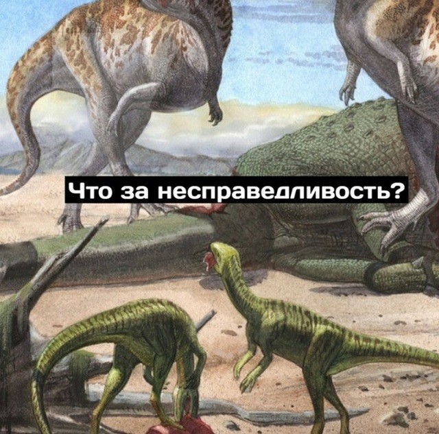 Минутка размышлений о приспособляемости от динозавров (9 картинок)