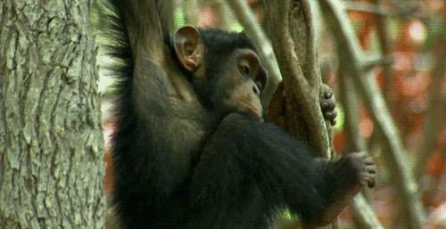 Прикольные гифки (20 гифок) 06.06.2019