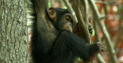 Прикольные гифки (20 гифок) 06.06.2019