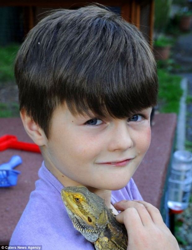 9-летний британец живет в доме с 94 ящерицами (4 фото)