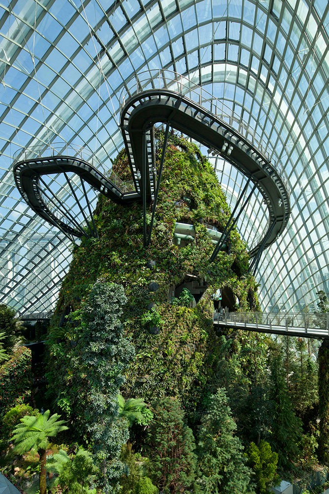 Зимние сады в Сингапуре — лучшее здание в мире (14 фото)
