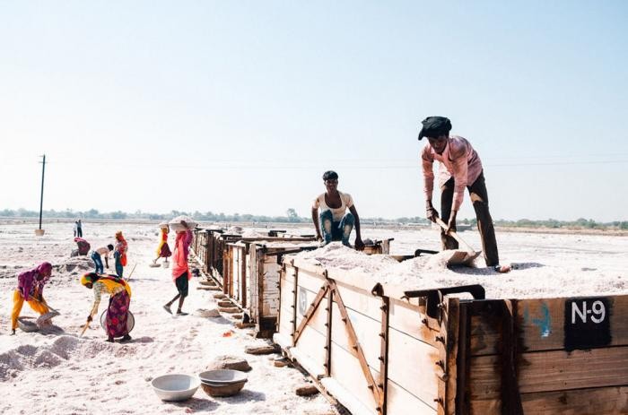 Работа сборщиков соли в Индии в фотографиях (22 фото)