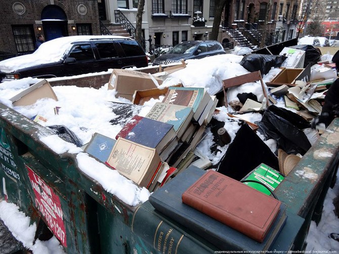 Что можно найти в нью-йоркской мусорке (16 фото)