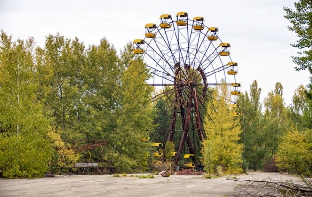 Как природа забирает Чернобыль (65 фото)