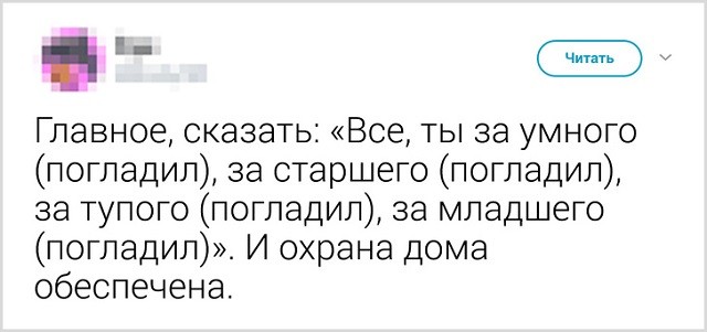 Как прощаются со своими котиками перед выходом из дома (13 скриншота)