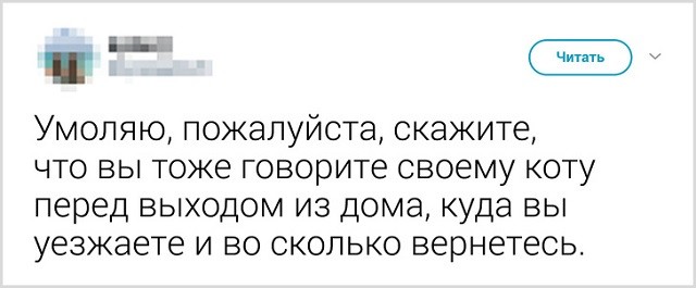 Как прощаются со своими котиками перед выходом из дома (13 скриншота)