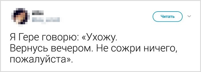 Как прощаются со своими котиками перед выходом из дома (13 скриншота)