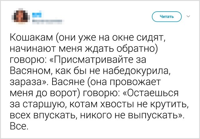 Как прощаются со своими котиками перед выходом из дома (13 скриншота)