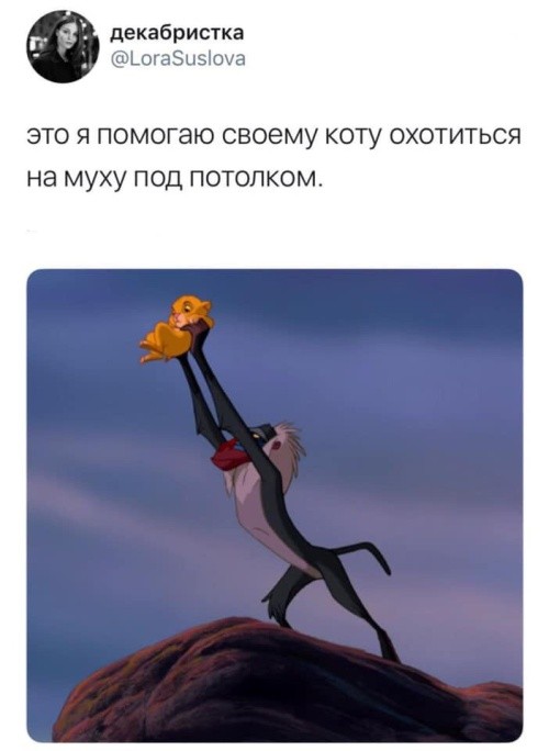 Подборка прикольных фото (60 фото) 11.07.2019