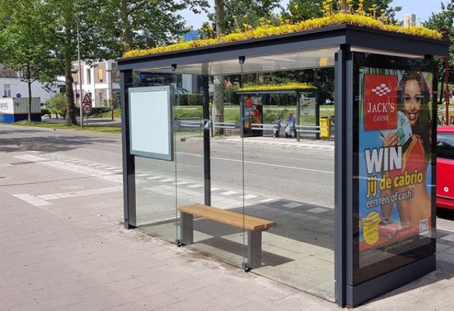 Как автобусные остановки в Нидерландах помогают спасти пчел (4 фото)