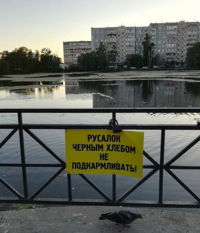 Тем временем в России (30 фото)