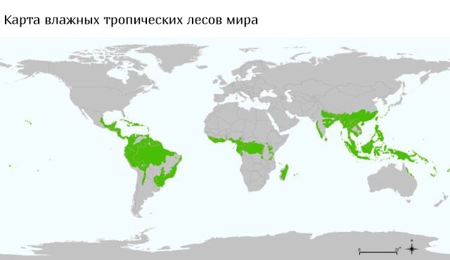 Необычные и интересные карты (20 фото)