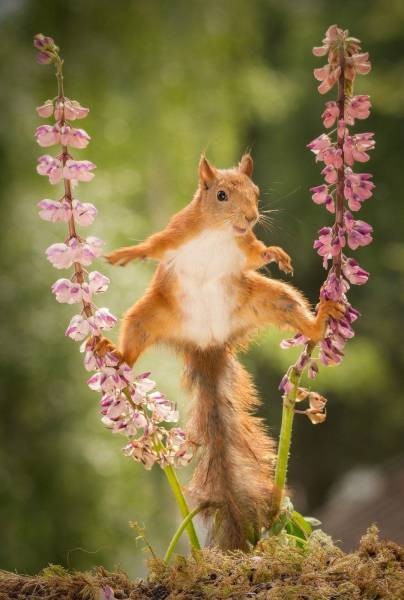 Коллекция эмоциональных снимков (50 фото)