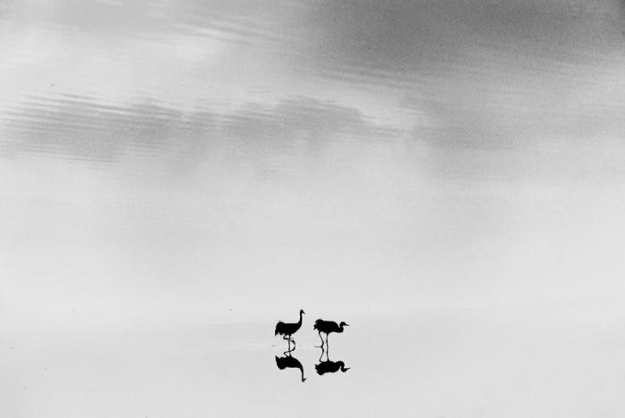 Магические чёрно-белые фотографии Гая Коэна (30 фото)
