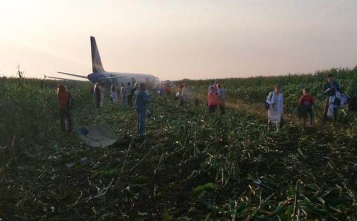Самолет совершил экстренную посадку в поле в Подмосковье (5 фото)