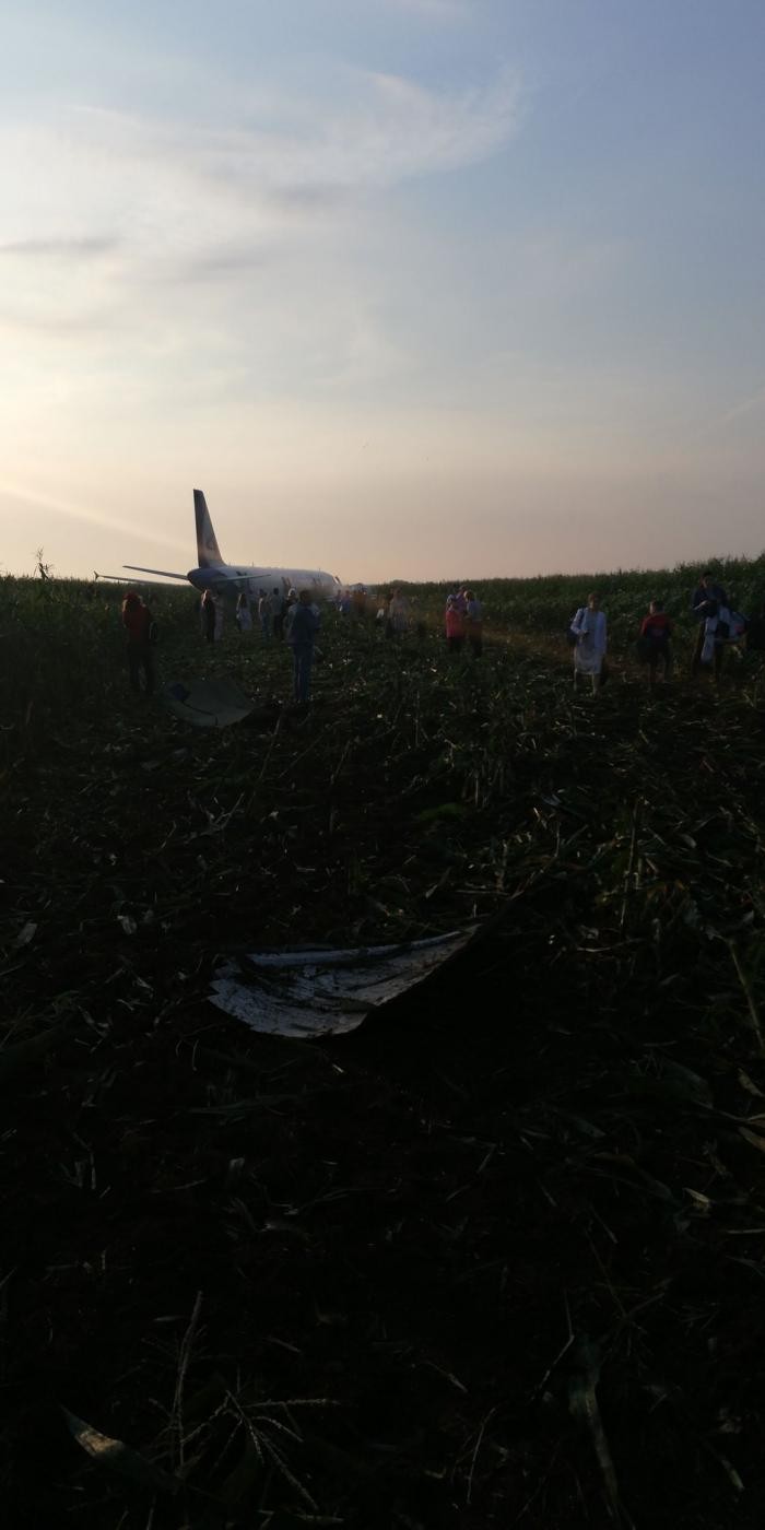 Самолет совершил экстренную посадку в поле в Подмосковье (5 фото)