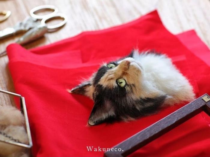 Новый японский тренд – 3D-портреты кошек (21 фото)