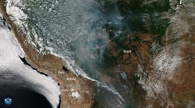 NASA показали снимки из космоса горящих лесов Амазонии (9 фото)