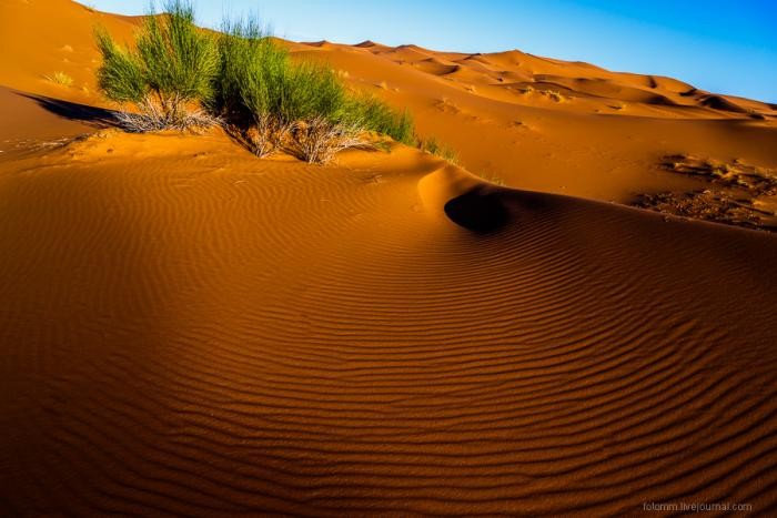 Прогулка по Сахаре (26 фото)