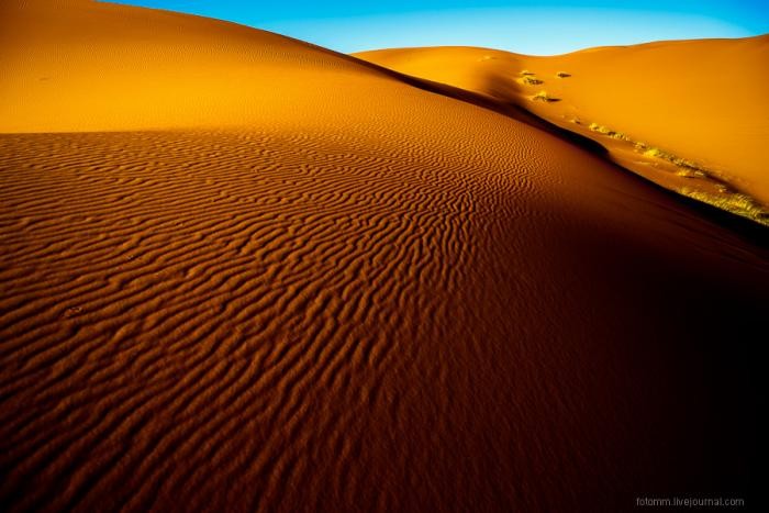 Прогулка по Сахаре (26 фото)