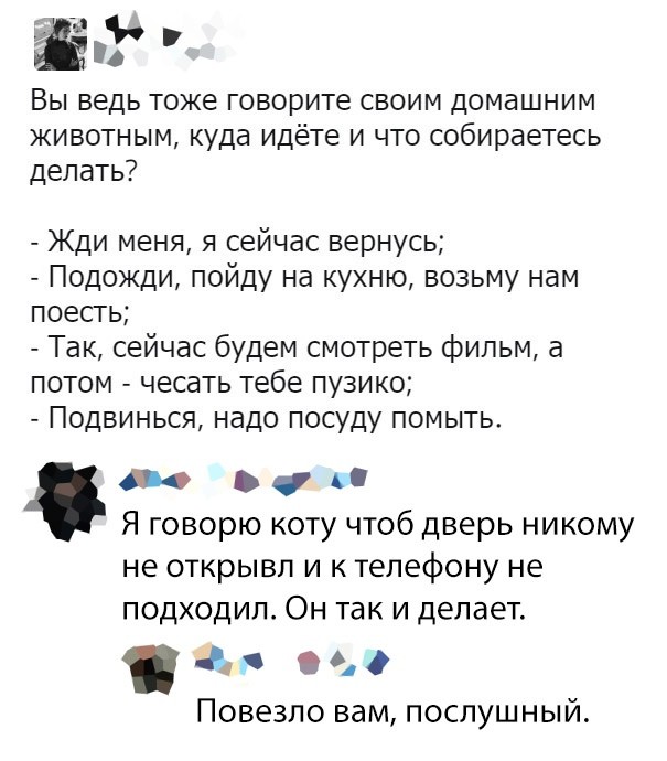 Подборка прикольных фото (60 фото) 30.08.2019