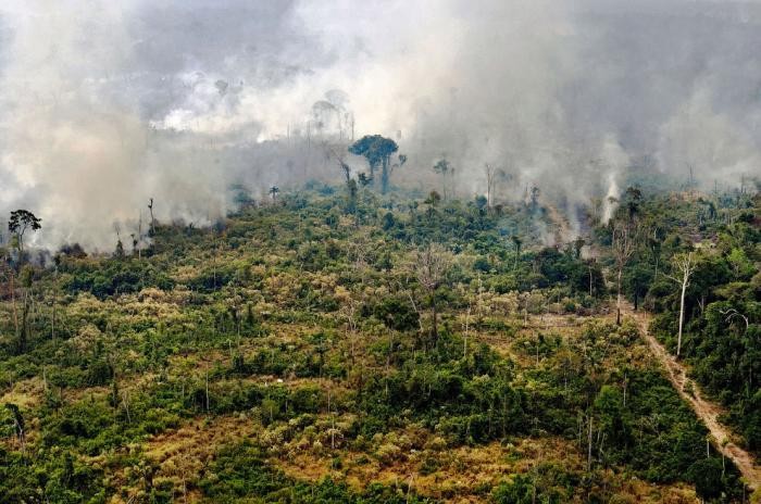 Горят Амазонские леса «легкие планеты»(20 фото)