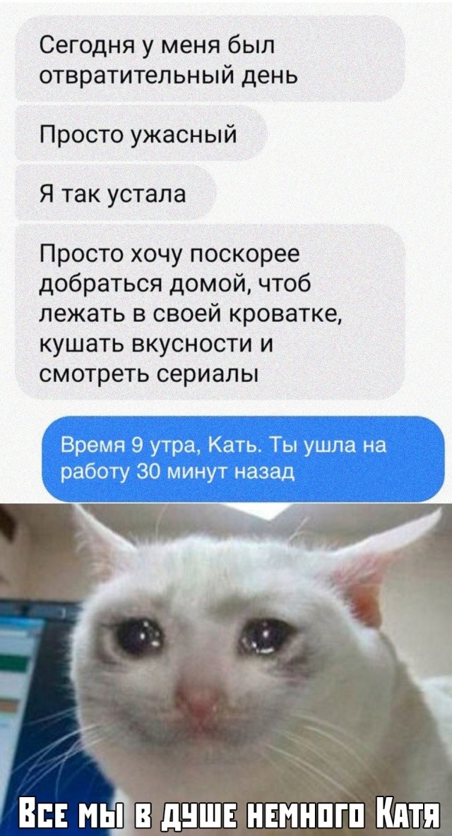 Подборка прикольных фото 04.09.2019 (60 фото)