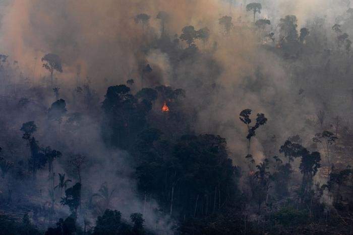 Горят Амазонские леса «легкие планеты»(20 фото)