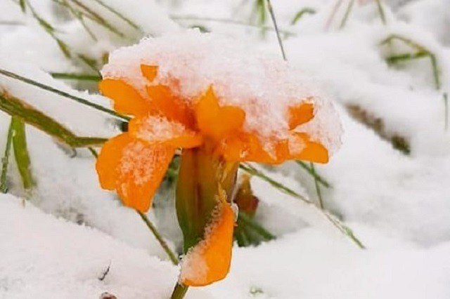 С первым снегом, Норильск! (11 фото)