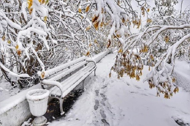 С первым снегом, Норильск! (11 фото)