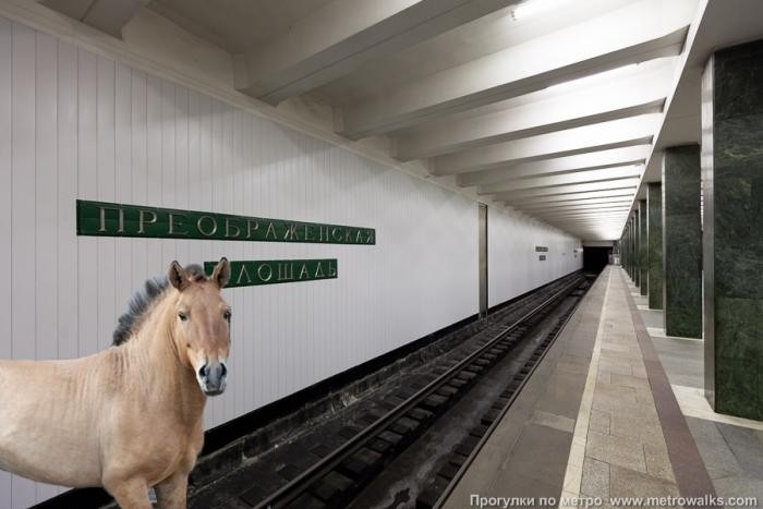В Интернете пользователи поиграли с названиями станций метро (19 фото)