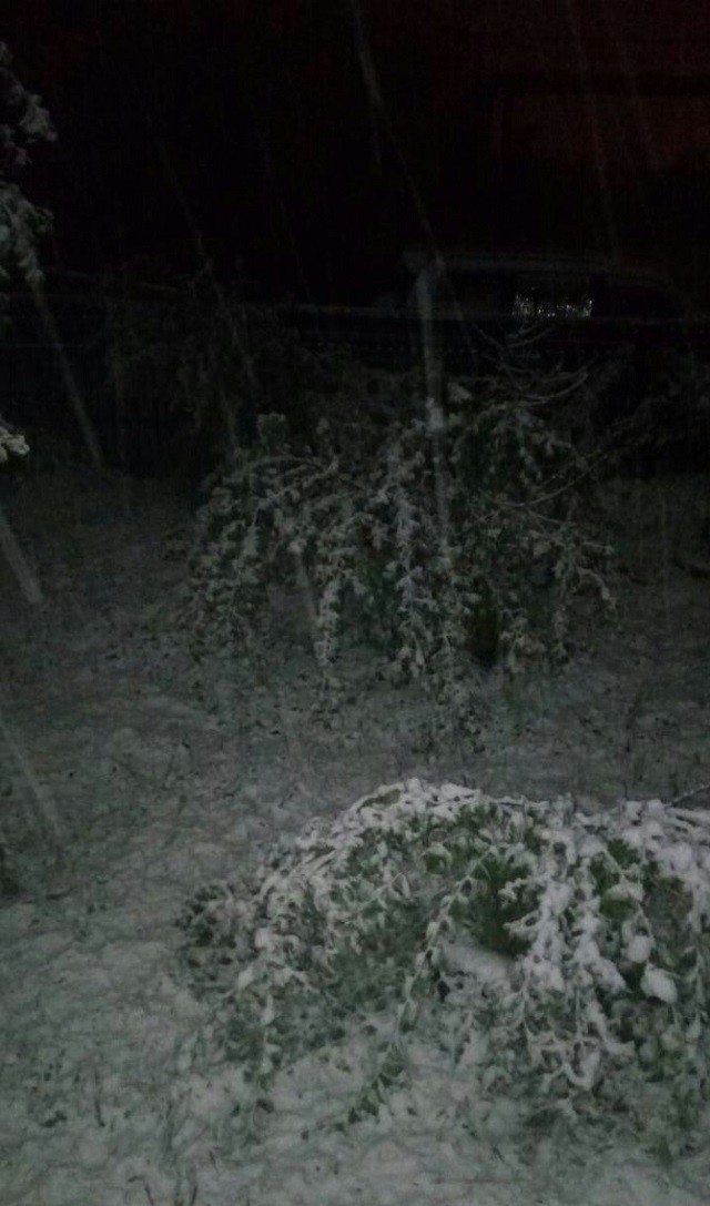 Мощный снегопад в Хабаровском крае (6 фото)