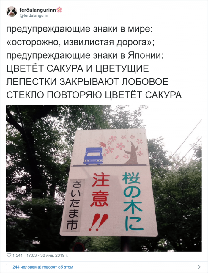 Россиянка живёт в Японии и рассказывает об особенностях страны(26фото)
