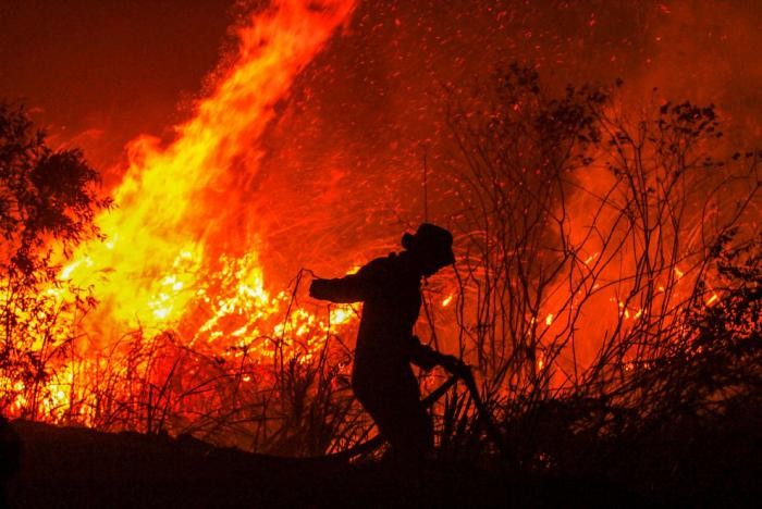 Пожары в Индонезии 2019 (18 фото)