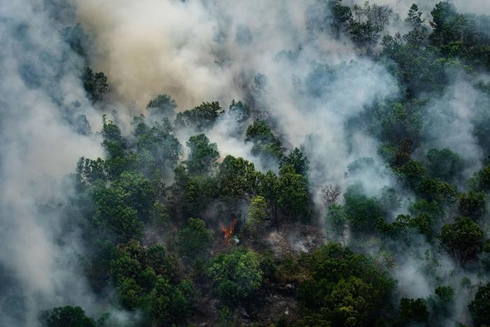 Пожары в Индонезии 2019 (18 фото)