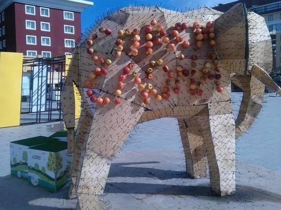 Жители Ставрополя разграбили слона из яблок (7 фото)