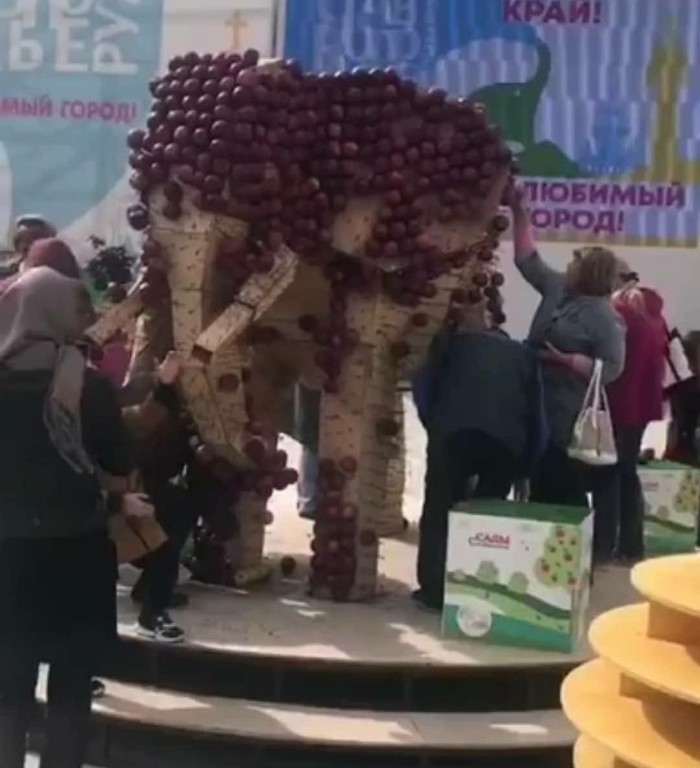 Жители Ставрополя разграбили слона из яблок (7 фото)