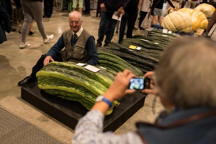 Конкурс гигантских овощей в фотографиях (13 фото)