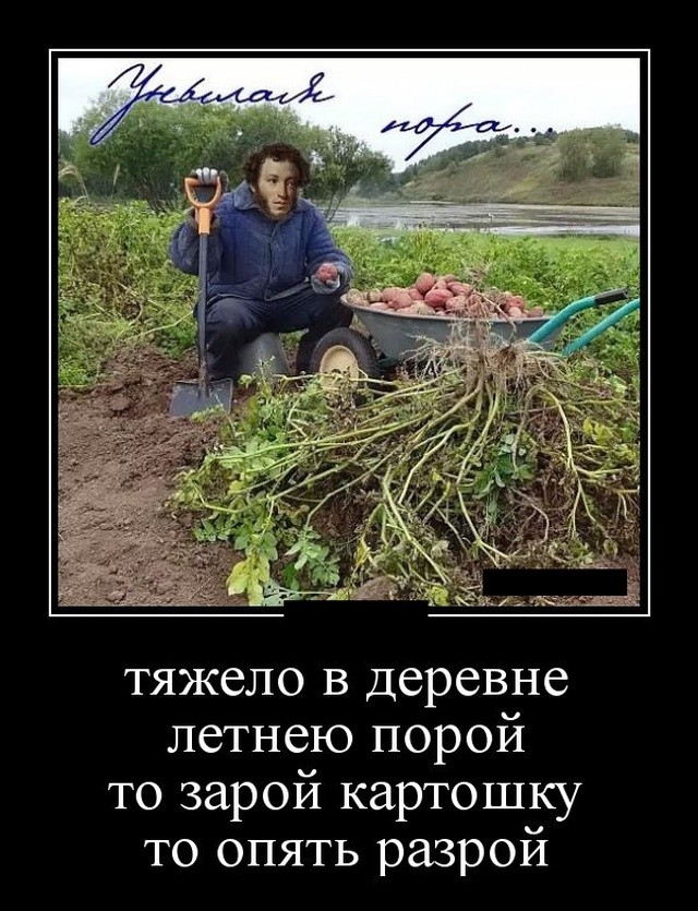 Демотиваторы 25.09.2019 (20 фото)