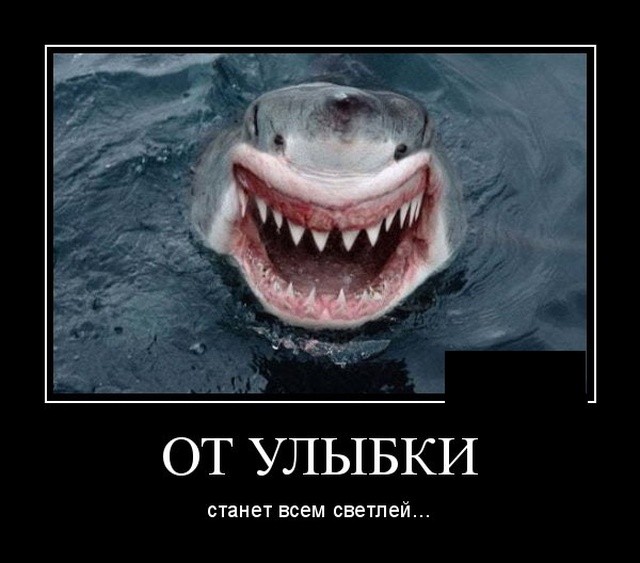 Демотиваторы 25.09.2019 (20 фото)