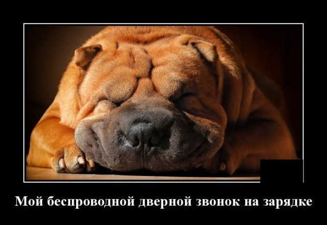 Демотиваторы 01.10.2019 (20 фото)