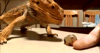 Прикольные гифки (20 гифок) 10.10.2019