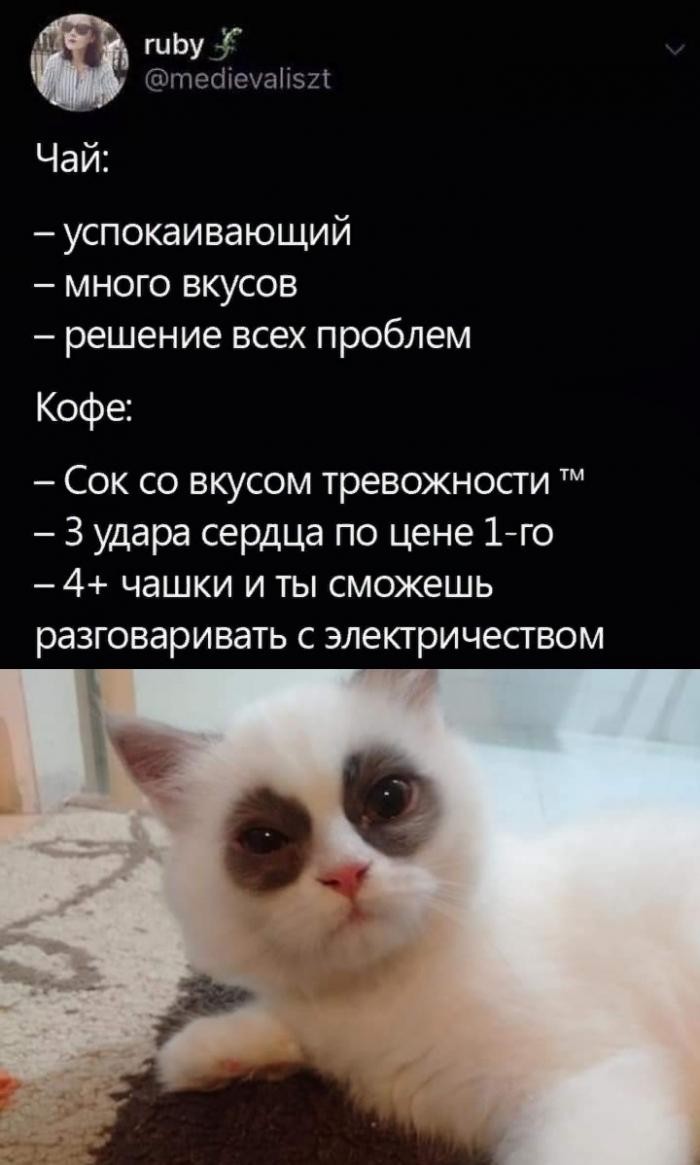 Подборка прикольных фото (63 фото) 10.10.2019
