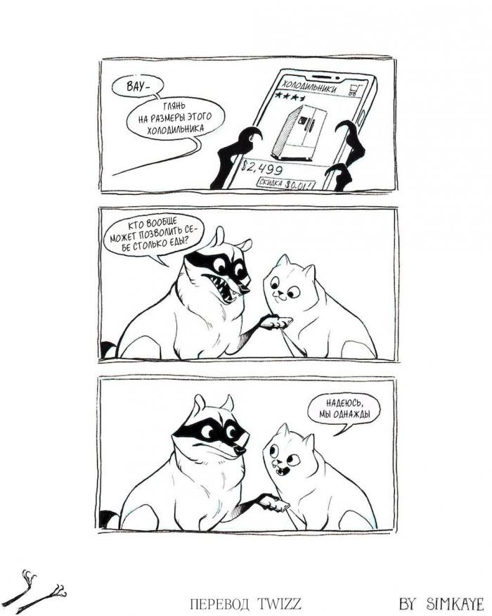 Крутые комиксы про енота, которые поймут все взрослые (16 фото)