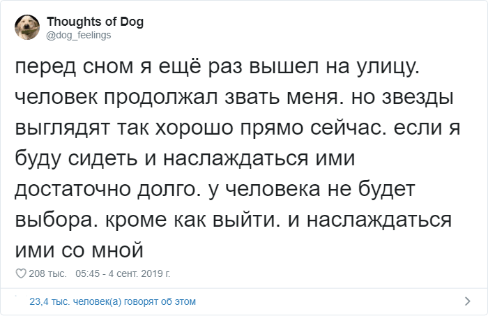 Мысли собаки: странный и милый аккаунт в Твиттере (16 фото)