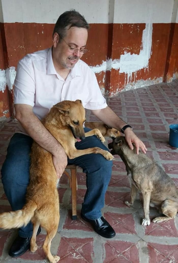 Бразильский священник спасает бездомных собак (13 фото)